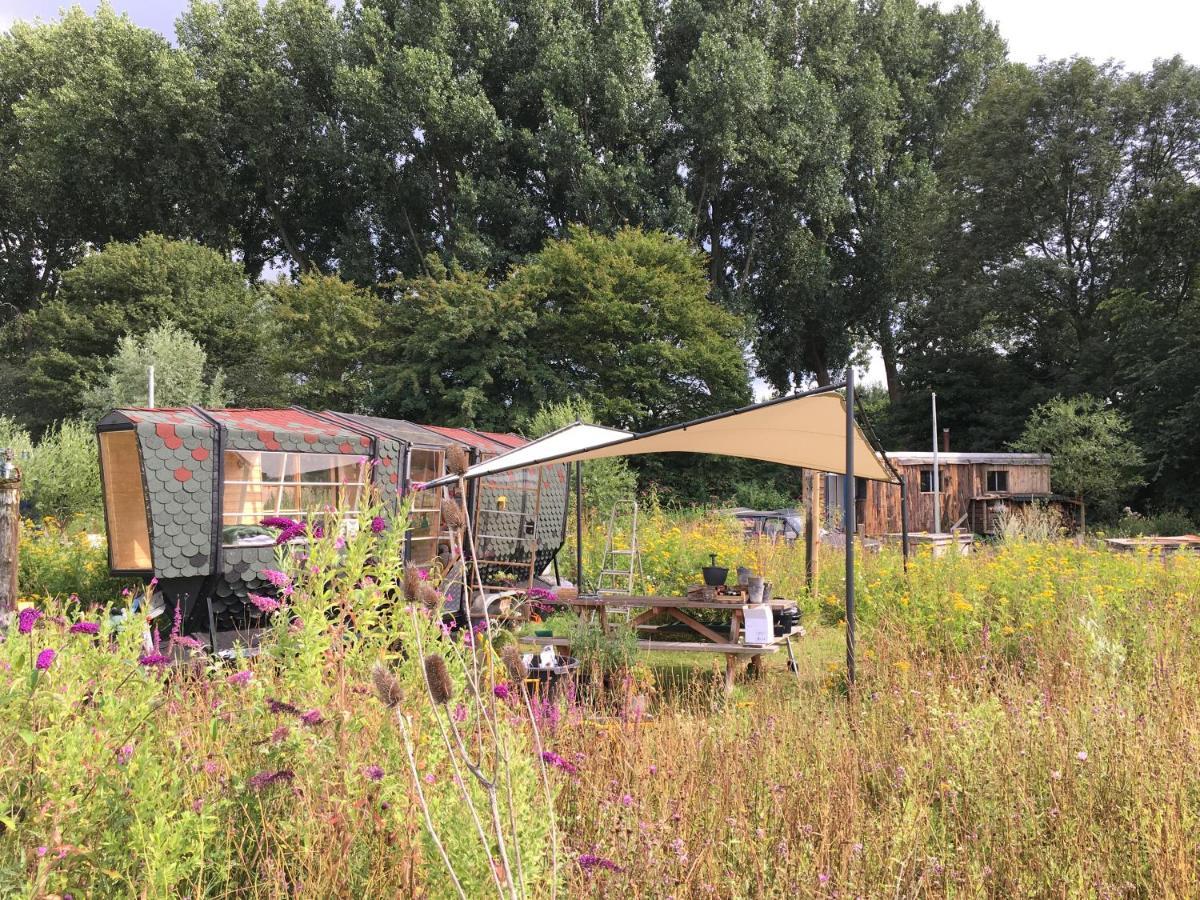 Amsterdam Farm Lodge Экстерьер фото