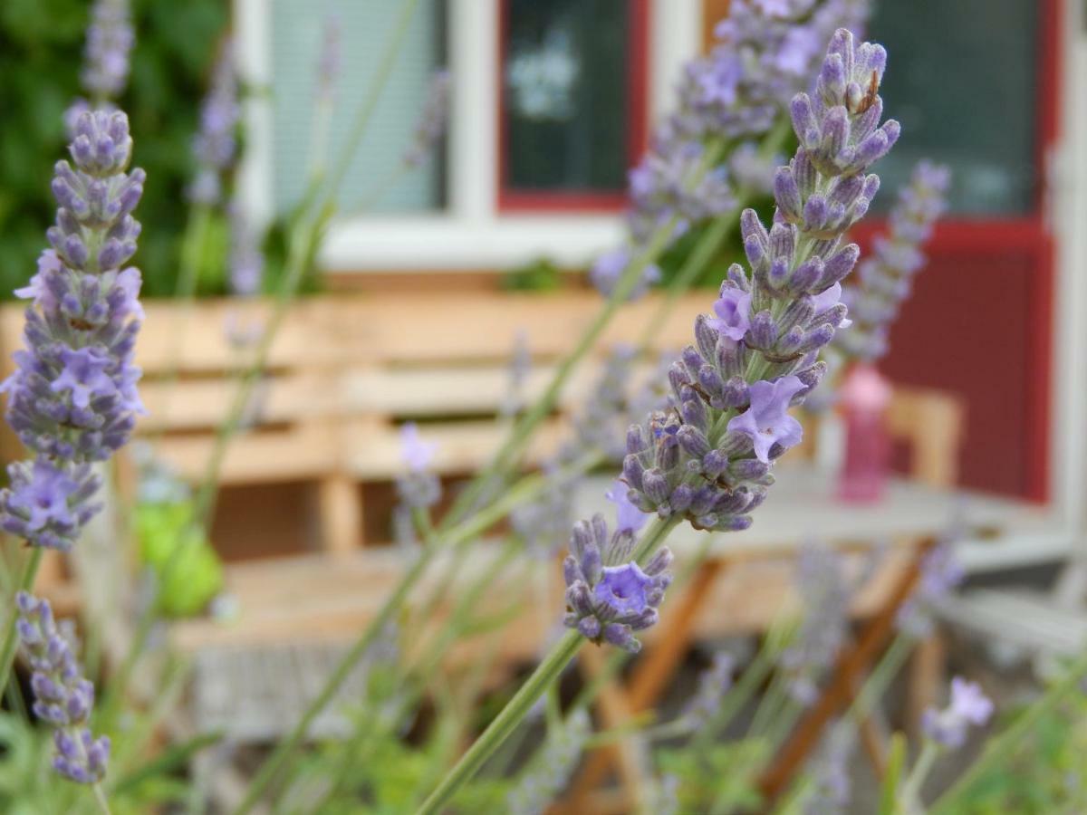 Amsterdam Farm Lodge Экстерьер фото